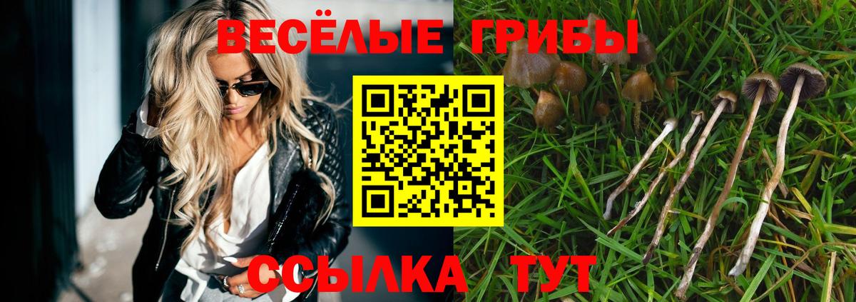 Галлюциногенные грибы MAGIC MUSHROOMS  Галлюциногенные грибы Cubensis  Жигулёвск  Вход с VPN 