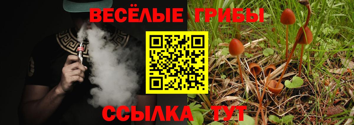 Псилоцибиновые грибы Magic Shrooms Жигулёвск